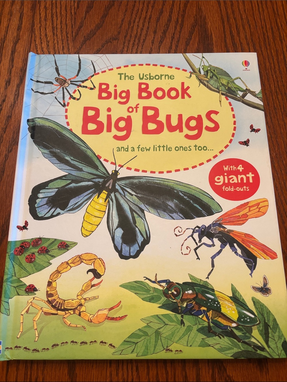 Usborne Big Book of Bugs